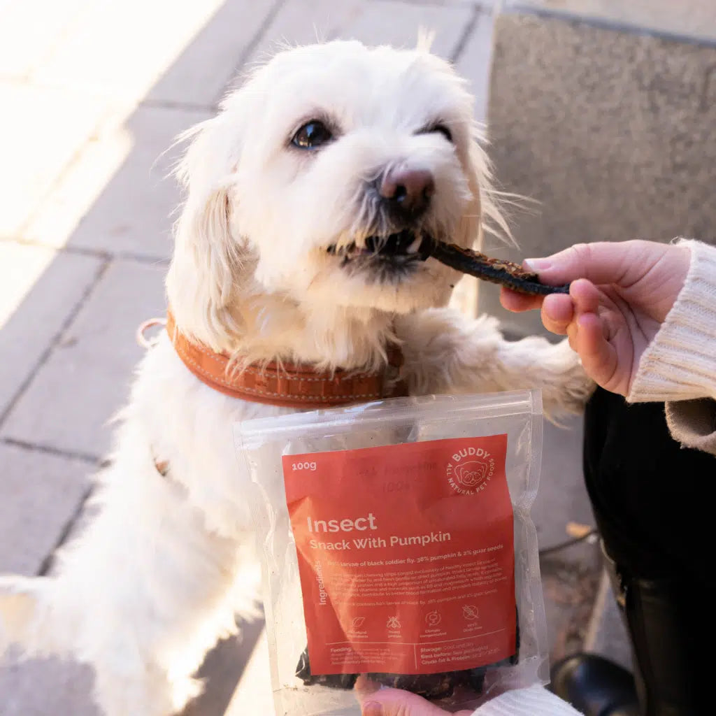 Buddy Pet Foods - No-meat filet tyggeben til hund basert på insektsprotein - sunne, deilige og bærekraftige godbiter