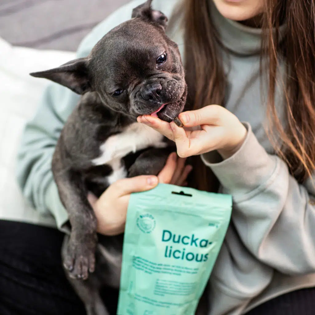 Buddy Pet Foods - Duck-alicious semi-moist dog treats - myke og deilige godbiter med and og rosmarin til hunden