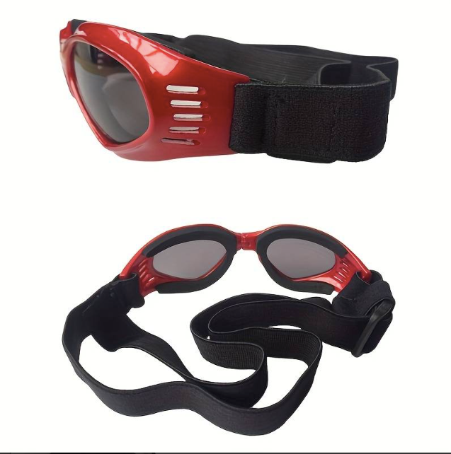Red dog sunglasses