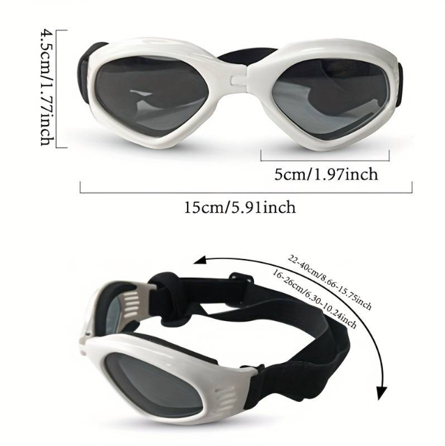 Size of sunglasses