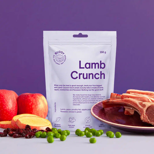 Buddy Pet Foods - crunchy snack lamb with cranberries - knasende, digge og næringsrike godbiter til hund