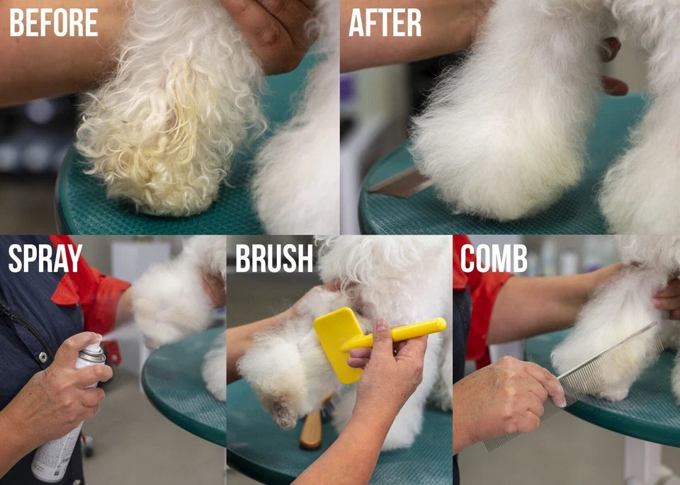 Quick Clean Tørrsjampo 200 ml
