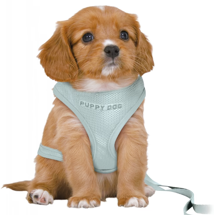 PUPPY SET JUNIOR SOFT LIGHT PURPLE HARNESS