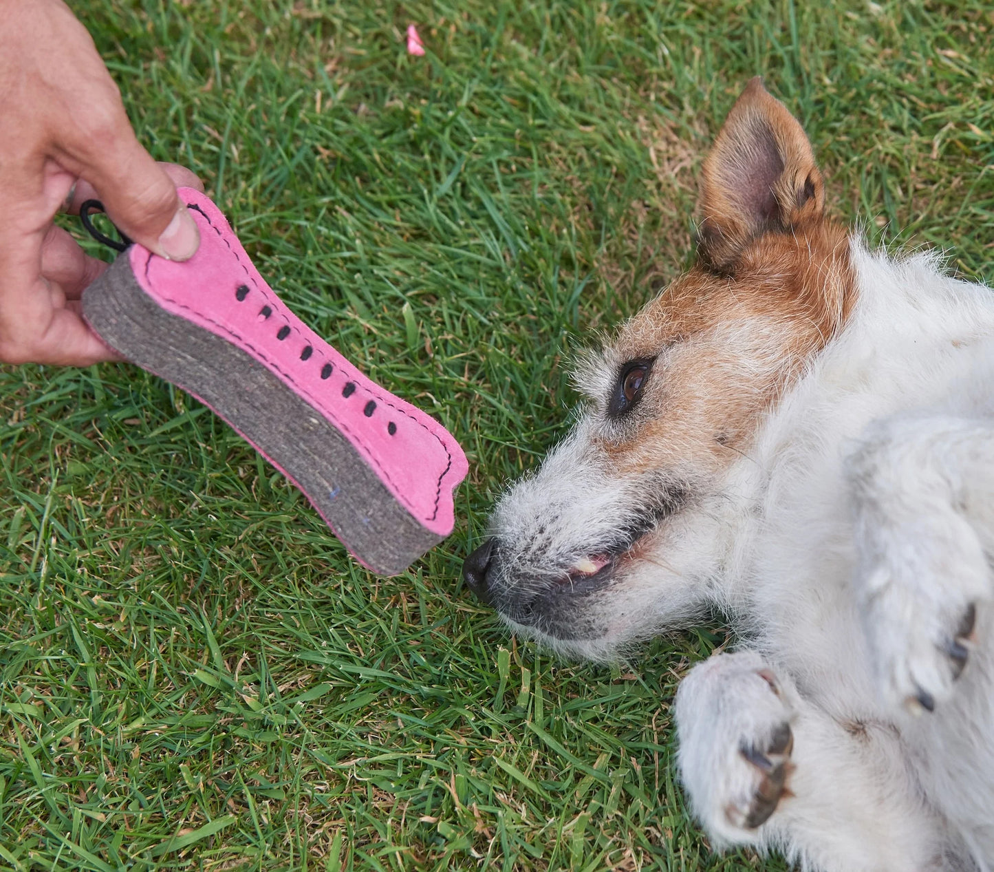 PINK BONE ECO DOG TOY / Trygge, økologiske og bærekraftige hundeleker fra Green & Wilds
