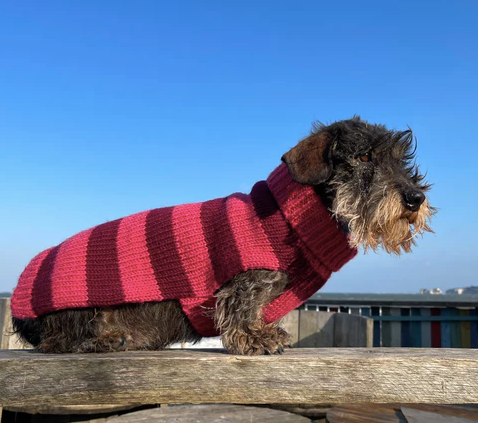 SMITHY BUBBLE GUM PINK/RED STRIPE POLO NECK DOG SWEATER
