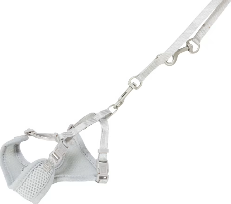 PUPPY SET JUNIOR SOFT LIGHT PURPLE HARNESS
