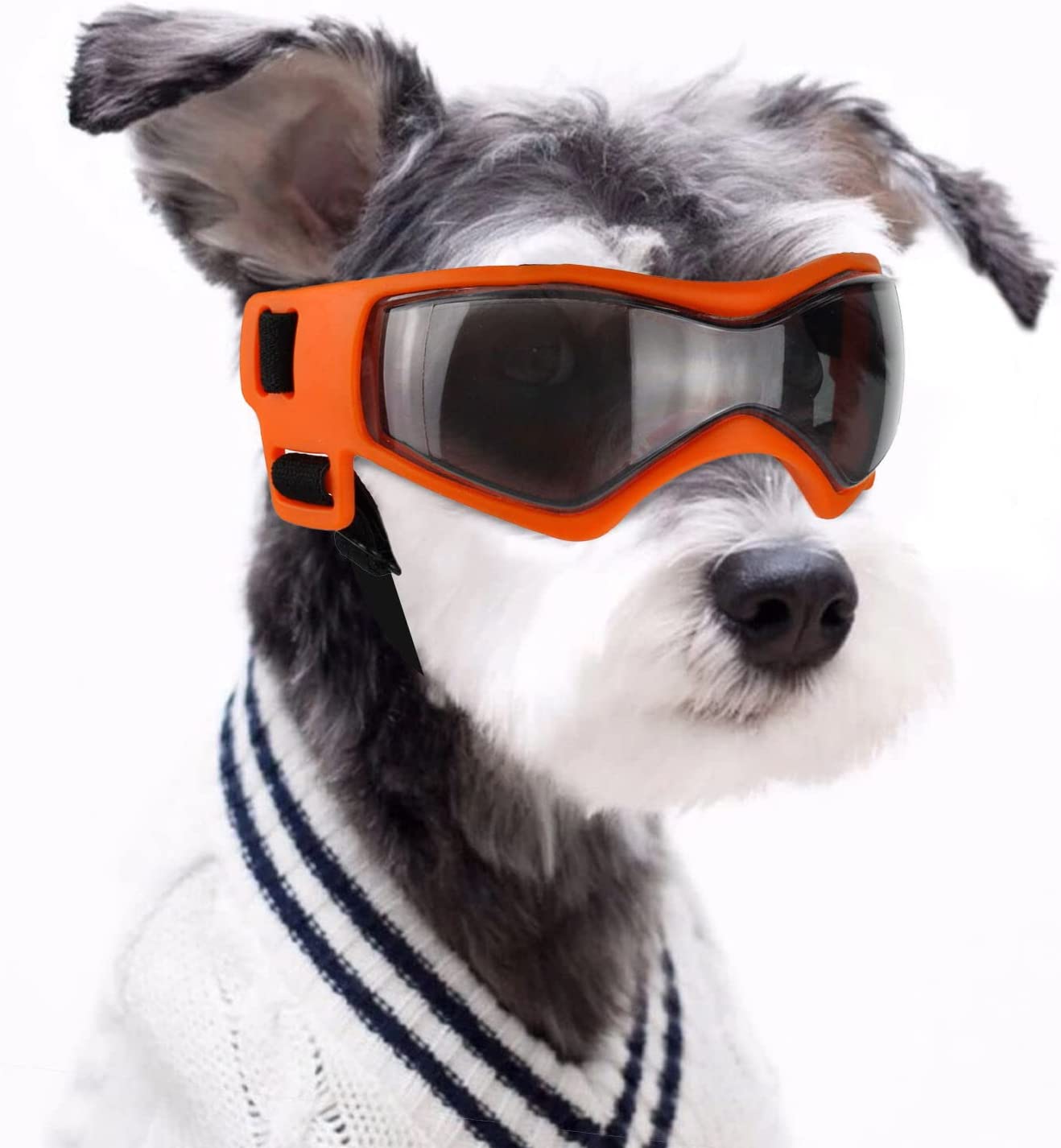 Vanntette solbriller til hund