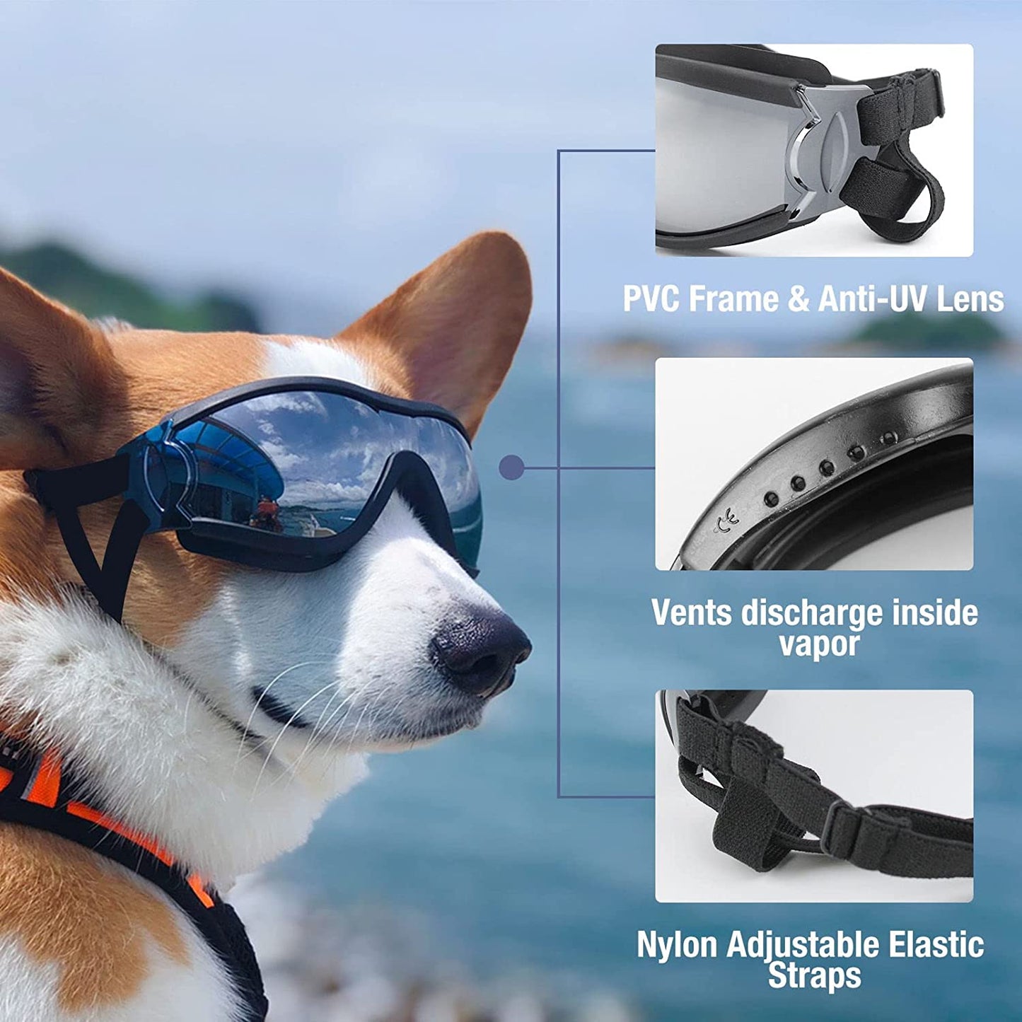 Polariserte solbriller til hund