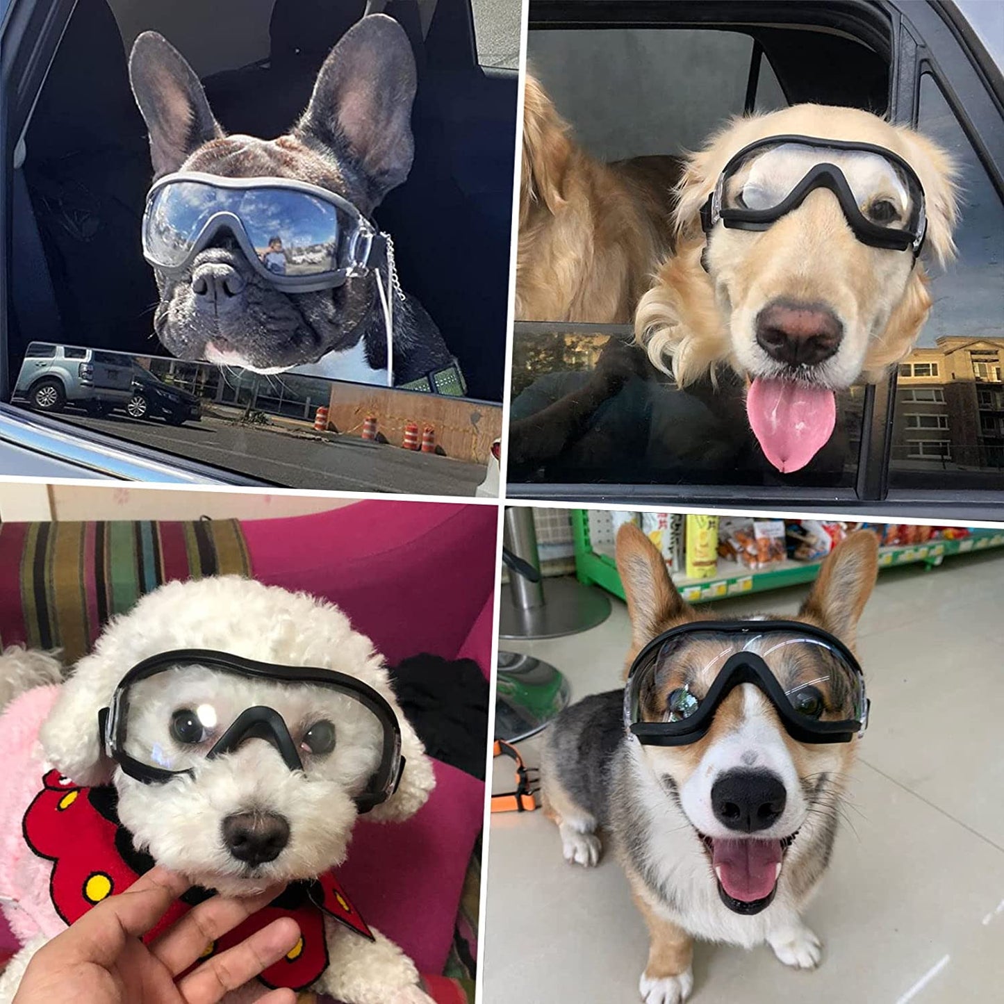 Transparente solbriller medium - stor hund
