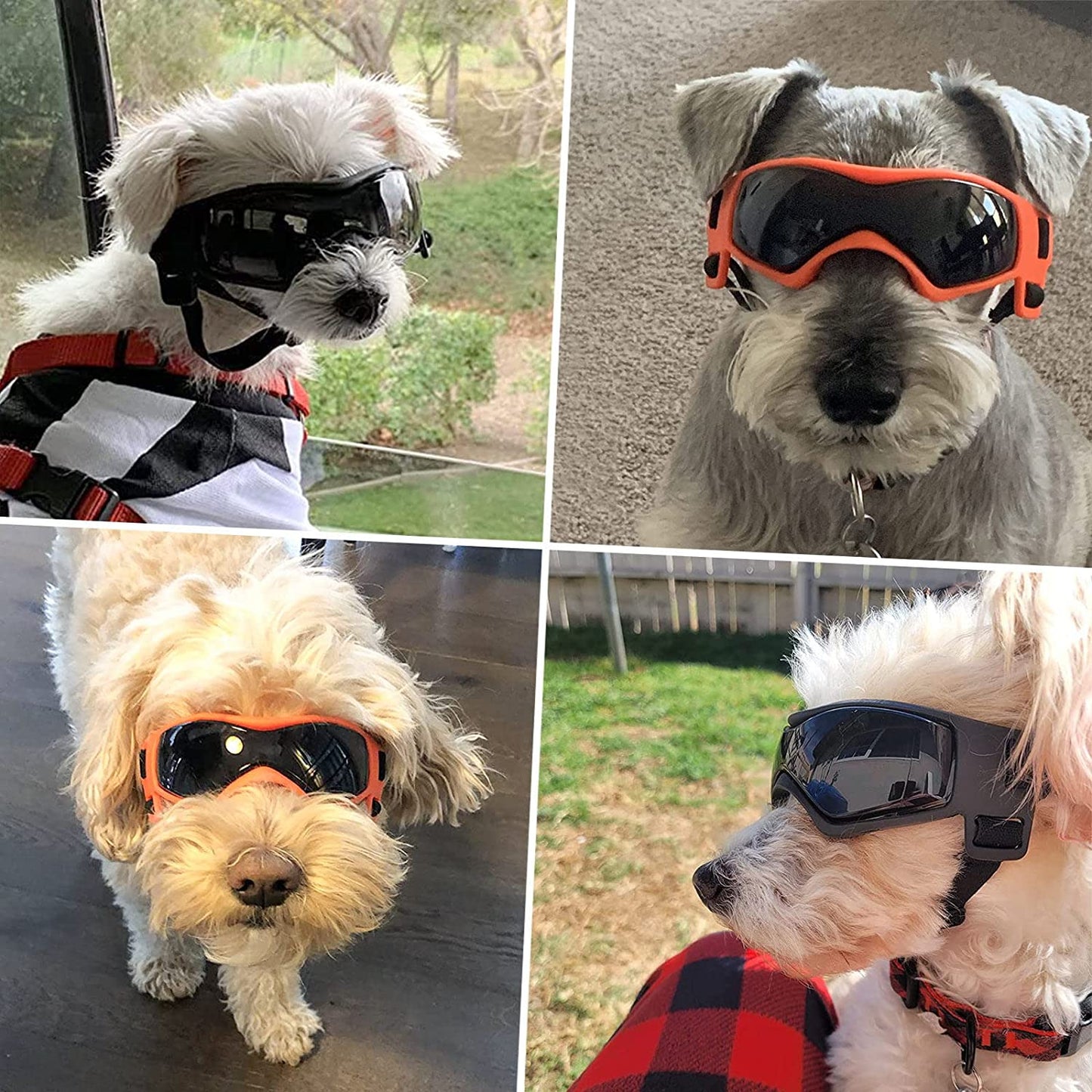 Vanntette solbriller til hund
