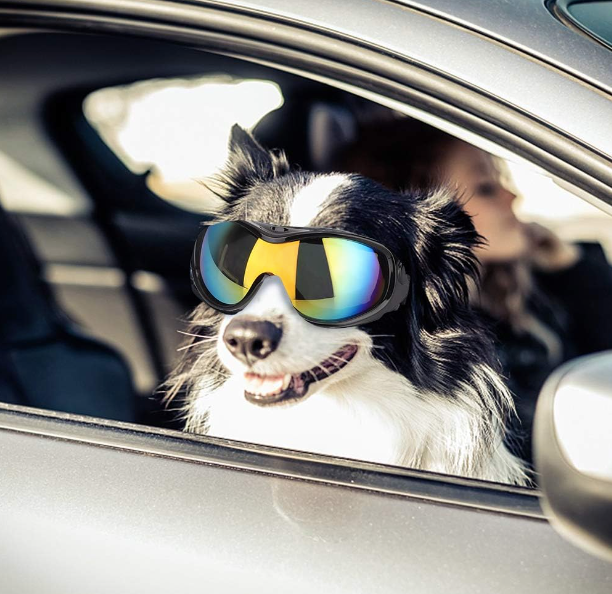 TRANSPARENT SUNGLASSES MEDIUM - LARGE DOG
