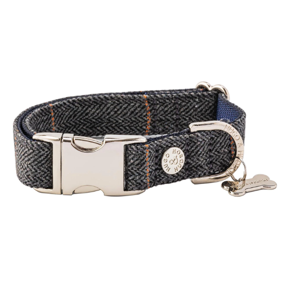 Duke dog deals collar