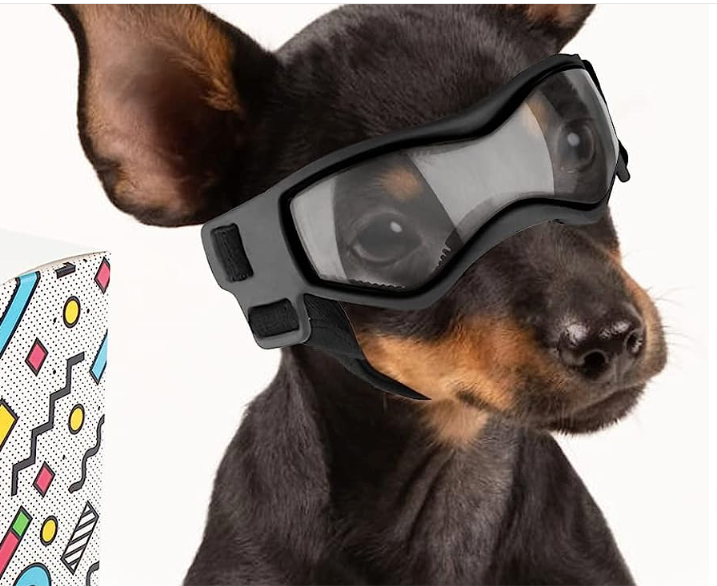 Solbriller liten  svart - medium hund