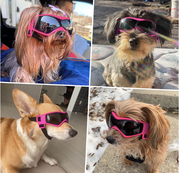 Rosa solbriller liten-medium hund
