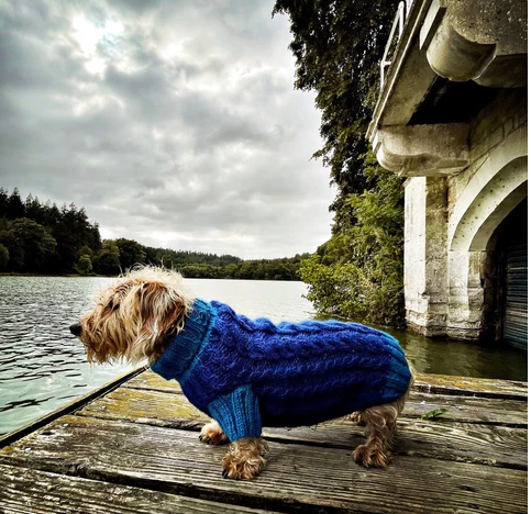 Wilmot indigo blue cable designer dog jumper h ndstrikket
