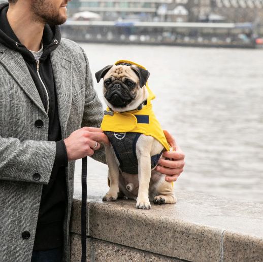 GREY CHECKED HERRINGBONE DOG HARNESS