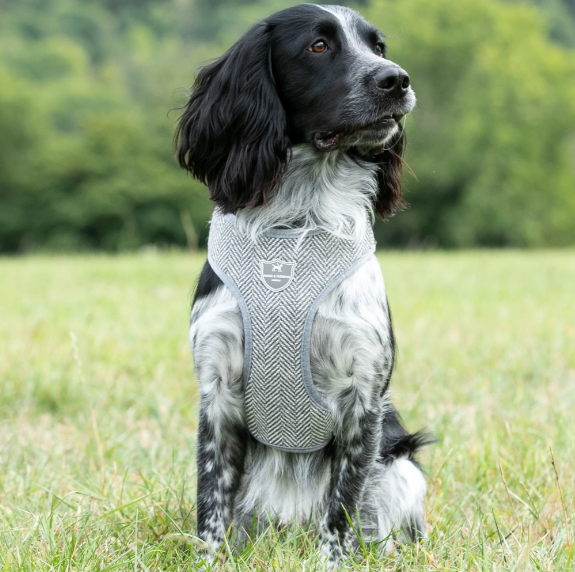 HUGO & HUDSON LIGHT GREY HERRINGBONE DOG HARNESS